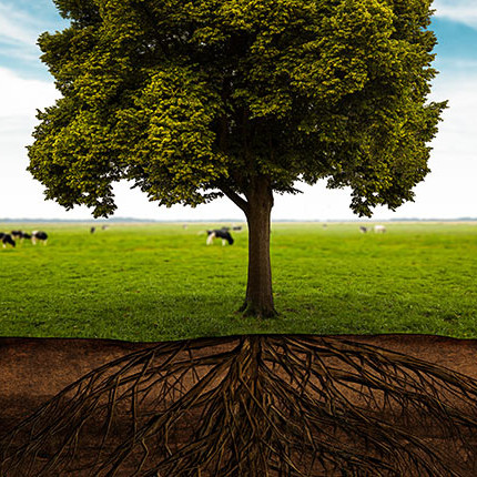 etudes_de_sol etudes_de_sol