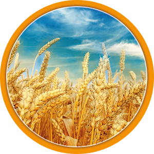 annonces de terrain a bâtir pour faire construire